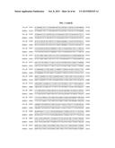 PORCINE EPIDEMIC DIARRHEA VIRUS VACCINE diagram and image