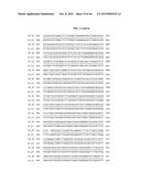 PORCINE EPIDEMIC DIARRHEA VIRUS VACCINE diagram and image