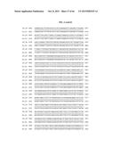 PORCINE EPIDEMIC DIARRHEA VIRUS VACCINE diagram and image