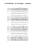 PORCINE EPIDEMIC DIARRHEA VIRUS VACCINE diagram and image