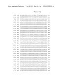 PORCINE EPIDEMIC DIARRHEA VIRUS VACCINE diagram and image