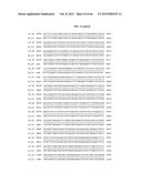 PORCINE EPIDEMIC DIARRHEA VIRUS VACCINE diagram and image