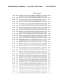 PORCINE EPIDEMIC DIARRHEA VIRUS VACCINE diagram and image