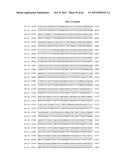 PORCINE EPIDEMIC DIARRHEA VIRUS VACCINE diagram and image