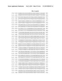 PORCINE EPIDEMIC DIARRHEA VIRUS VACCINE diagram and image