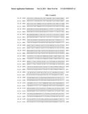 PORCINE EPIDEMIC DIARRHEA VIRUS VACCINE diagram and image