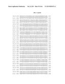 PORCINE EPIDEMIC DIARRHEA VIRUS VACCINE diagram and image