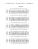 PORCINE EPIDEMIC DIARRHEA VIRUS VACCINE diagram and image