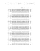 PORCINE EPIDEMIC DIARRHEA VIRUS VACCINE diagram and image