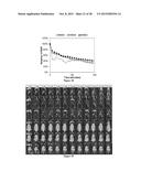 POLYMERIC NANOPARTICLES diagram and image