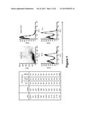 CD19 BINDING AGENTS AND USES THEREOF diagram and image