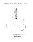 CD19 BINDING AGENTS AND USES THEREOF diagram and image