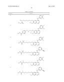 QUINAZOLINE BASED EGFR INHIBITORS CONTAINING A ZINC BINDING MOIETY diagram and image