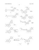 QUINAZOLINE BASED EGFR INHIBITORS CONTAINING A ZINC BINDING MOIETY diagram and image