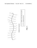 VERSATILE, FACILE AND SCALABLE ROUTE TO POLYLACTIC ACID-BACKBONE GRAFT AND     BOTTLEBRUSH COPOLYMERS diagram and image