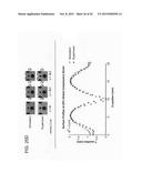 Tunable Surface Topography Through Particle-Enhanced Soft Composites diagram and image