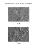 Hydrophilic/Hydrophobic Aqueous Polymer Emulsions and Products and Methods     Relating Thereto diagram and image