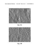 Hydrophilic/Hydrophobic Aqueous Polymer Emulsions and Products and Methods     Relating Thereto diagram and image