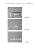 Polymer Coating System For Improved Tribological Performance diagram and image