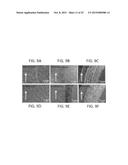 Polymer Coating System For Improved Tribological Performance diagram and image