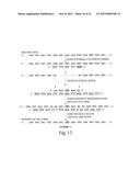 Oligonucleotide Complex Compositions diagram and image