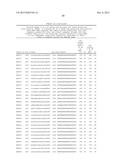 RNAi Inhibition of A1pha-ENaC Expression diagram and image