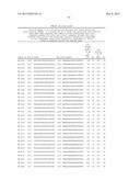 RNAi Inhibition of A1pha-ENaC Expression diagram and image