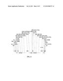 MODULATION OF ACC SYNTHASE IMPROVES PLANT YIELD UNDER LOW NITROGEN     CONDITIONS diagram and image