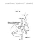 Methods For Rapid Identification Of Pathogens In Humans And Animals diagram and image