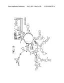 Methods For Rapid Identification Of Pathogens In Humans And Animals diagram and image