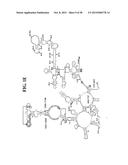 Methods For Rapid Identification Of Pathogens In Humans And Animals diagram and image