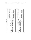 Methods For Rapid Identification Of Pathogens In Humans And Animals diagram and image