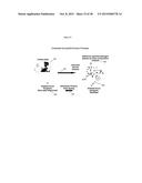 Methods For Rapid Identification Of Pathogens In Humans And Animals diagram and image