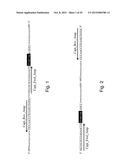 Compositions and Methods for Molecular Inversion Probe Assays diagram and image