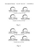 Compositions and Methods for Molecular Inversion Probe Assays diagram and image