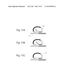 Compositions and Methods for Molecular Inversion Probe Assays diagram and image