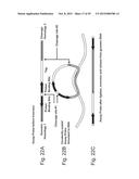 Compositions and Methods for Molecular Inversion Probe Assays diagram and image