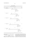 Fluorescence-Labelled Fatty Acids and Uses Thereof diagram and image