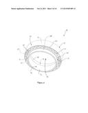 NEUTRON SHIELDING RING, APPARATUS AND METHOD USING THE SAME FOR STORING     HIGH LEVEL RADIOACTIVE WASTE diagram and image