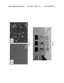 Crystal Control and Stability for High-Performance Perovskite Solar Cell diagram and image