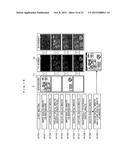 VIDEO INFORMATION TERMINAL DEVICE AND VIDEO DISPLAY SYSTEM diagram and image