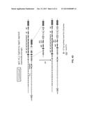 NON-HUMAN ANIMALS THAT MAKE SINGLE DOMAIN BINDING PROTEINS diagram and image