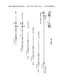 NON-HUMAN ANIMALS THAT MAKE SINGLE DOMAIN BINDING PROTEINS diagram and image