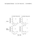 NON-HUMAN ANIMALS THAT MAKE SINGLE DOMAIN BINDING PROTEINS diagram and image