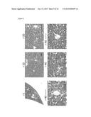 METHOD FOR MAINTAINING ORGAN OR TISSUE FOR TRANSPLANTATION USE FOR LONG     PERIOD diagram and image