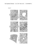 METHOD FOR MAINTAINING ORGAN OR TISSUE FOR TRANSPLANTATION USE FOR LONG     PERIOD diagram and image