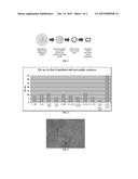 METHOD TO IMPROVE DISPERSIBILITY OF A MATERIAL HAVING LOW SOLUBILITY IN     WATER diagram and image