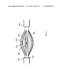 IMAGING AND TREATMENT DEVICE diagram and image