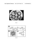 COMPOSITIONS COMPRISING MICROPARTICLES AND PROBIOTICS TO DELIVER A     SYNERGISTIC IMMUNE EFFECT diagram and image