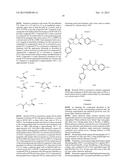 [1,2,4]TRIAZOLO[4,3-a]PYRAZINES AS P2X7 MODULATORS diagram and image